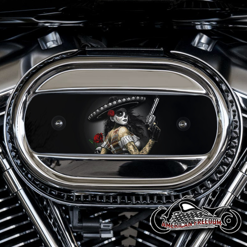 Harley Davidson M8 Ventilator Insert - Bandita 2